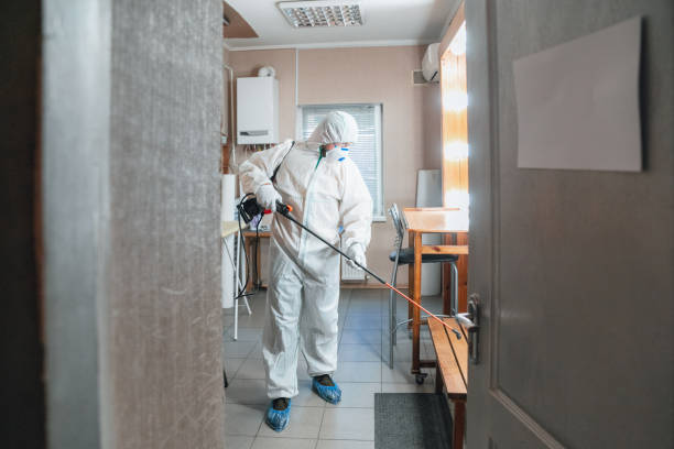 Trusted Seal Beach, CA Mold Removal Experts