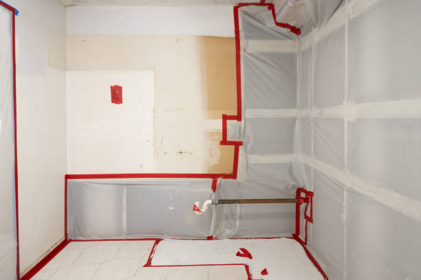 Best Indoor Air Quality Assessment  in Seal Beach, CA