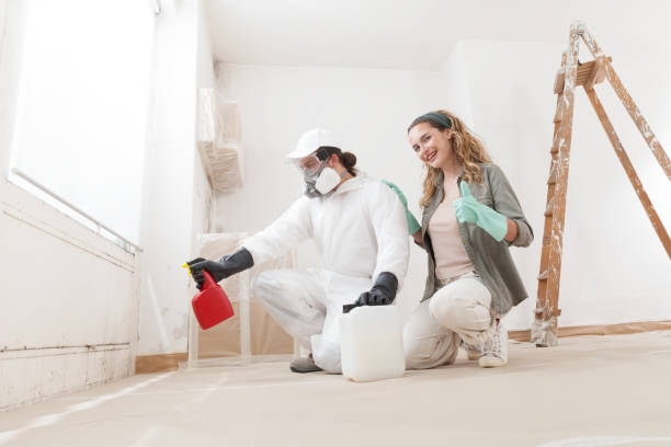 Best Forensic Mold Investigation  in Seal Beach, CA